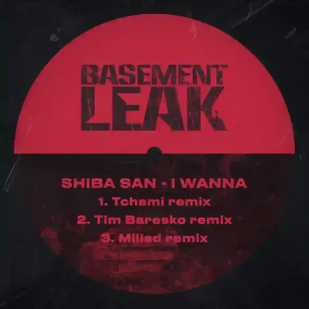 I Wanna (Tim Baresko Remix) cover