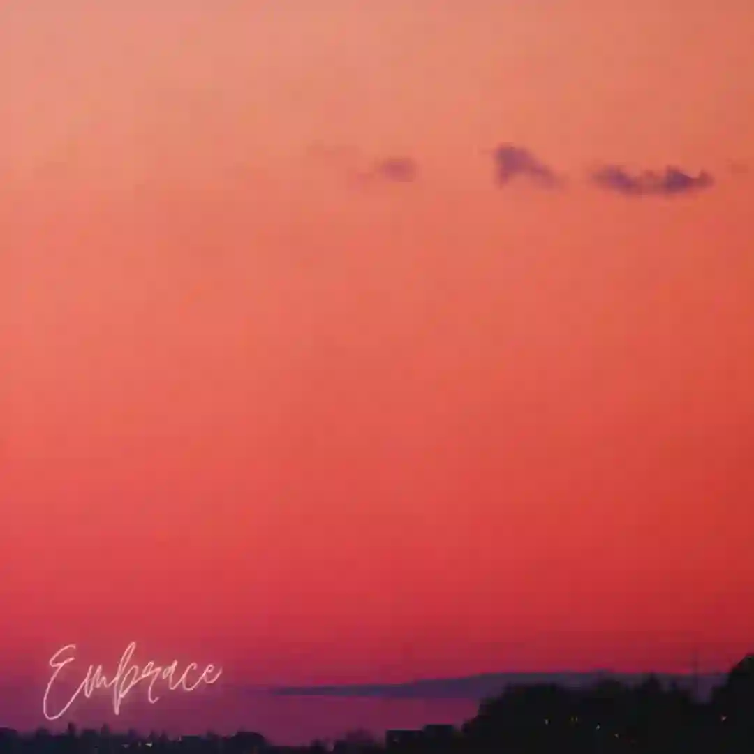 Embrace (Extended Instrumental Mix) cover