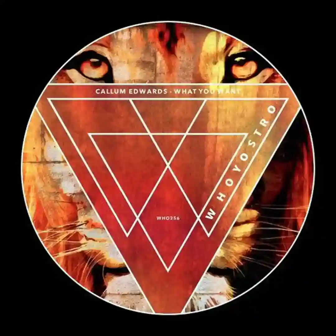 Startin' Over (Original Mix) cover