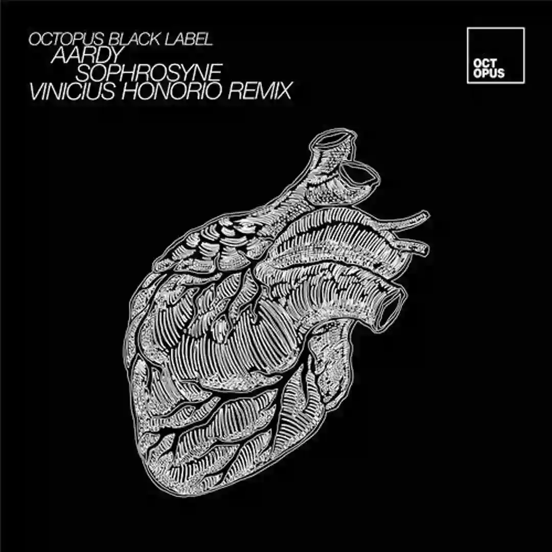 Angle Mishap (Original Mix) cover