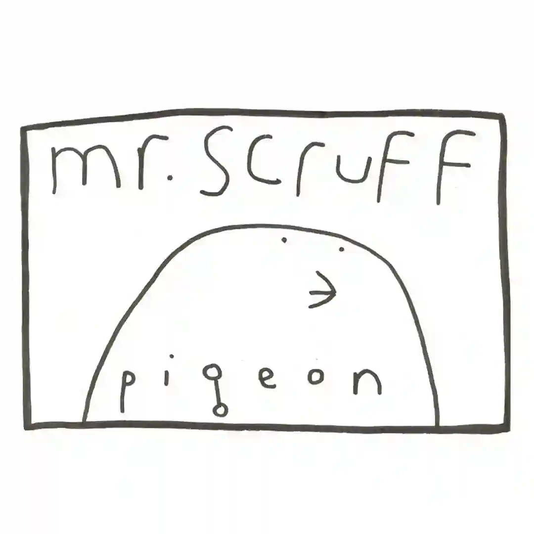 Pigeon cover