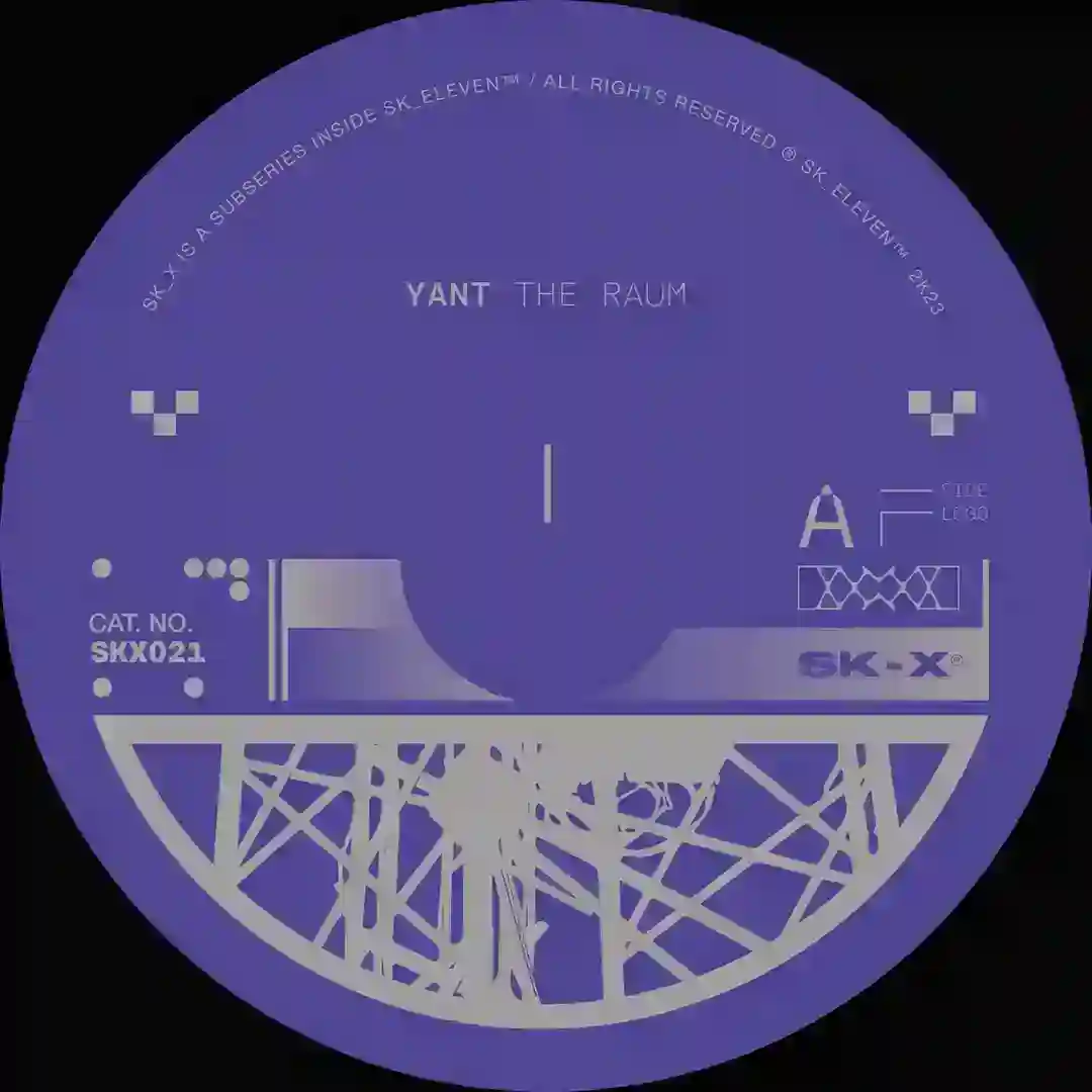 Transient Pulse cover