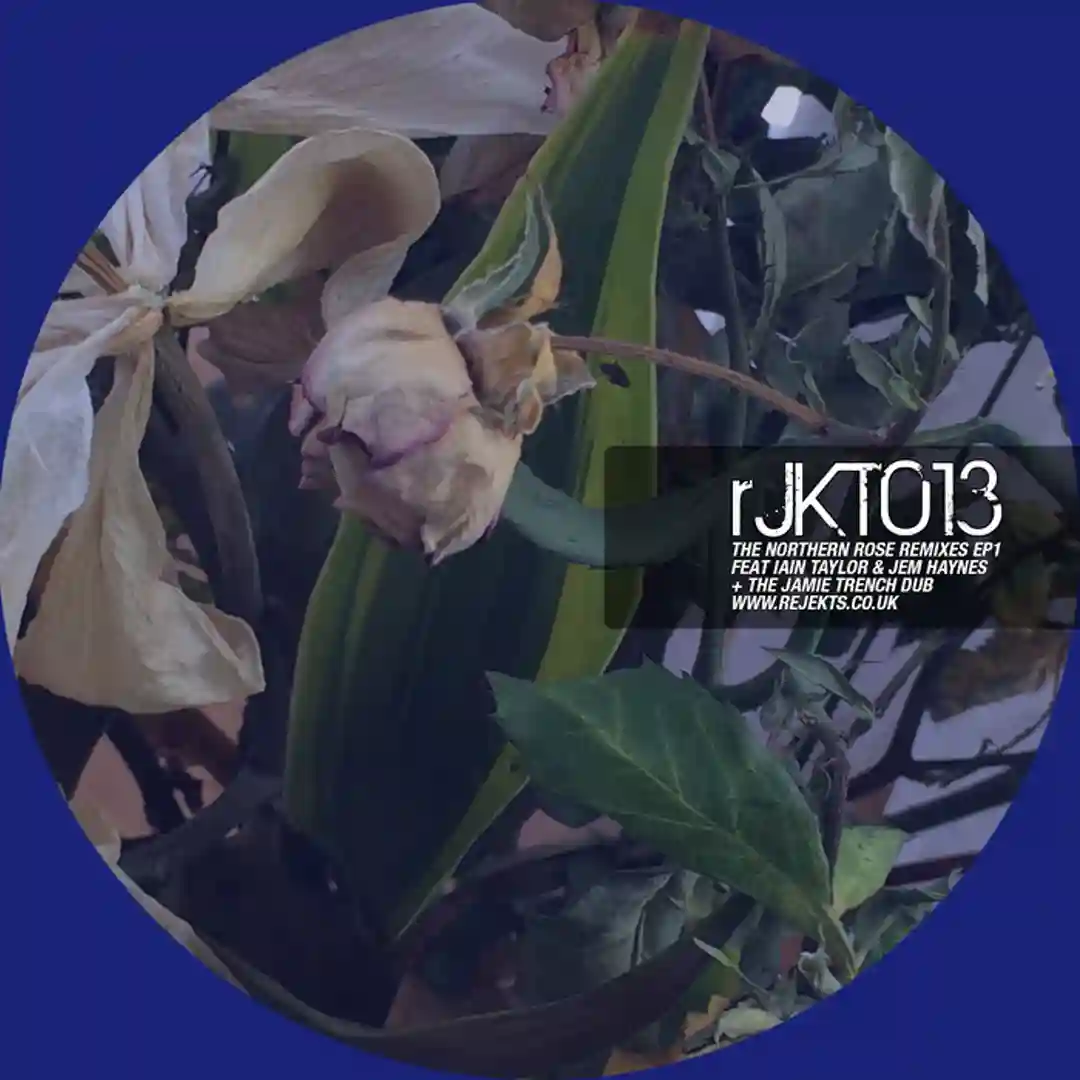 Mood 5 (Jem Haynes remix) cover