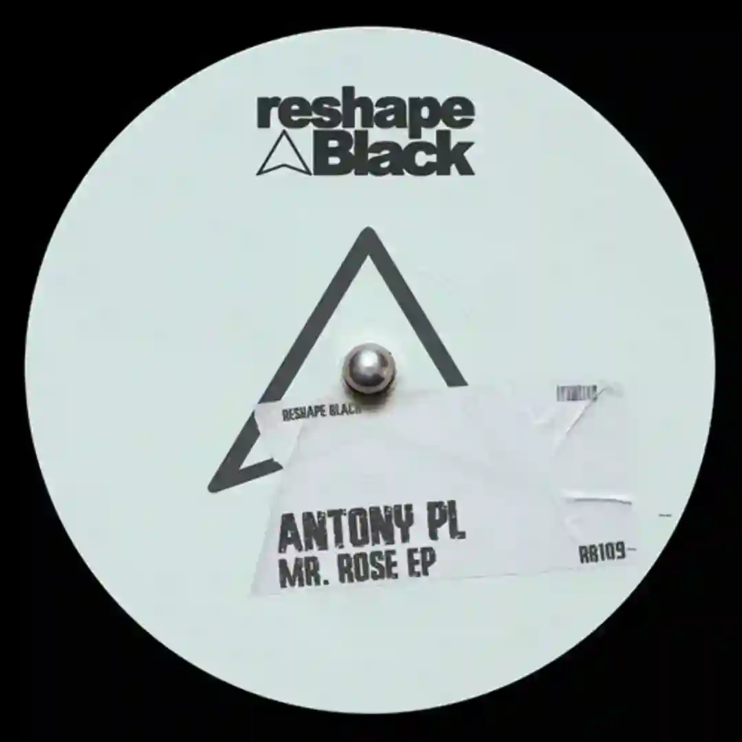 Mr. Rose (Original Mix) cover