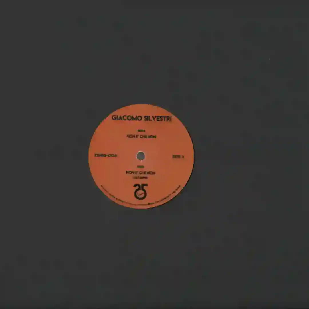 Non E'Che Non (Lizz Remix) cover