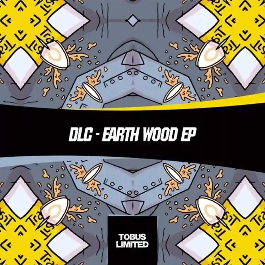 Earth Wood (Original Mix) cover