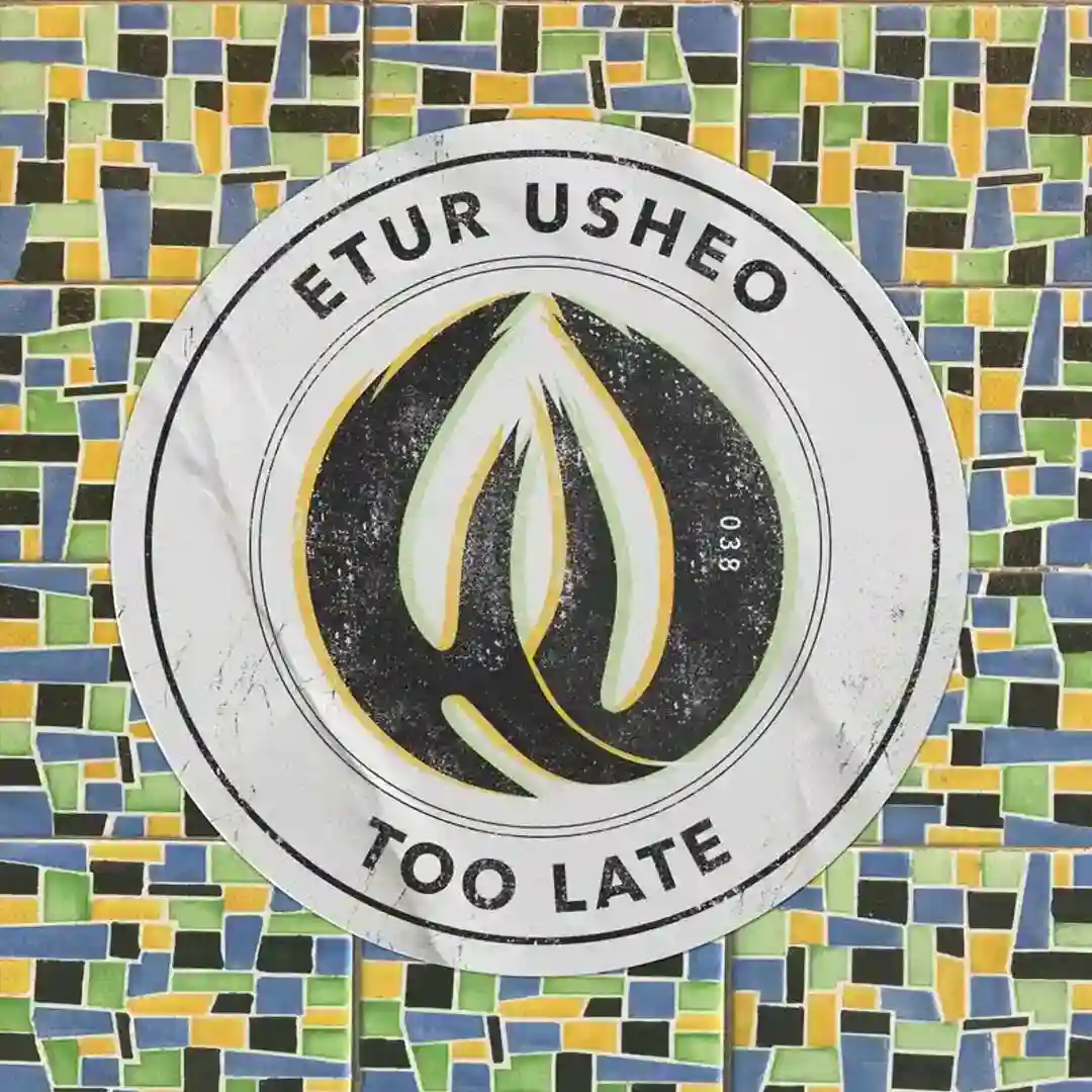 Too Late cover