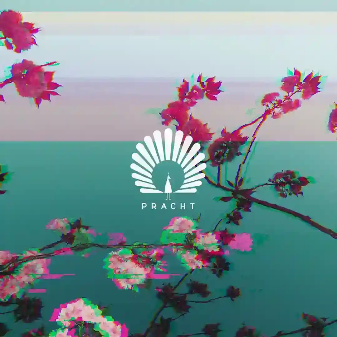 Caprice (Extended Mix) cover
