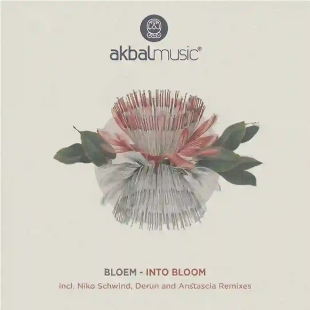 Into Bloom (Derun Remix) cover