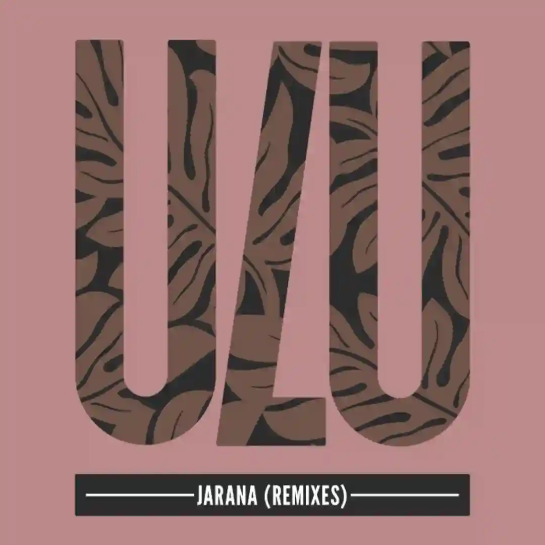 Jarana (State Remix) cover