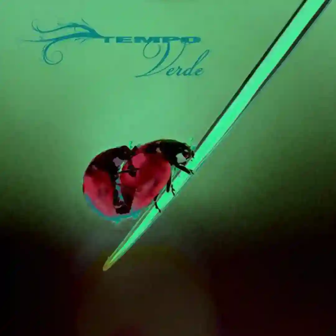 Spirit (Original Mix) cover