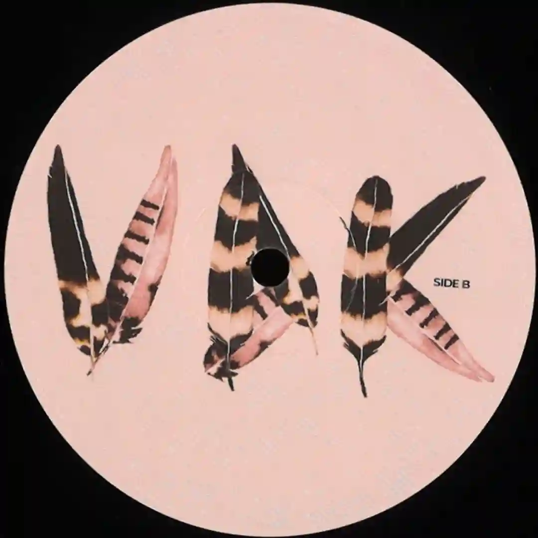 VDK003 cover