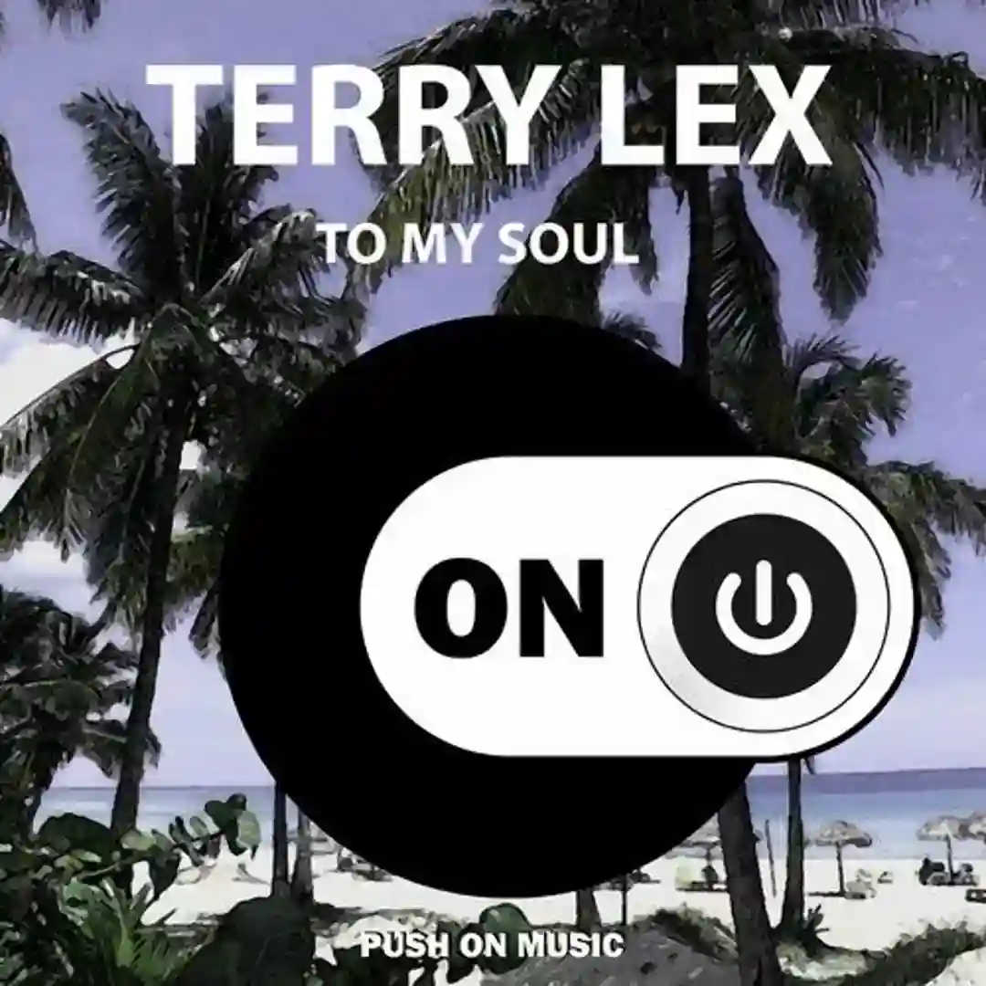 To My Soul cover