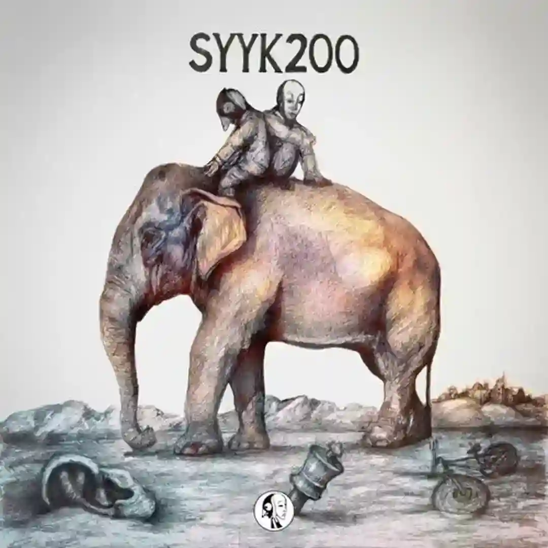 Steyoyoke 200 cover