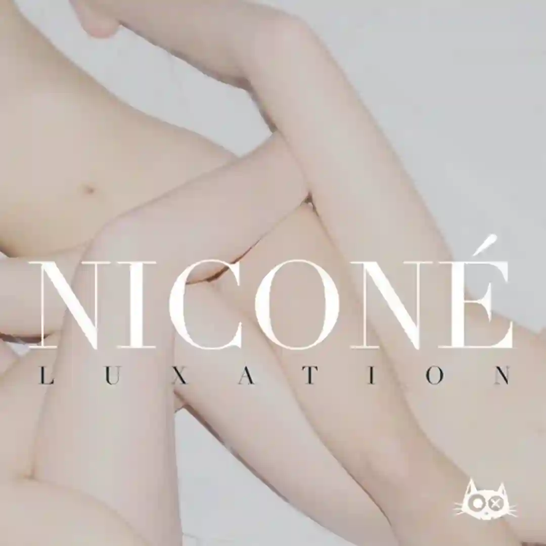 Kill The Groove (Original Mix) cover