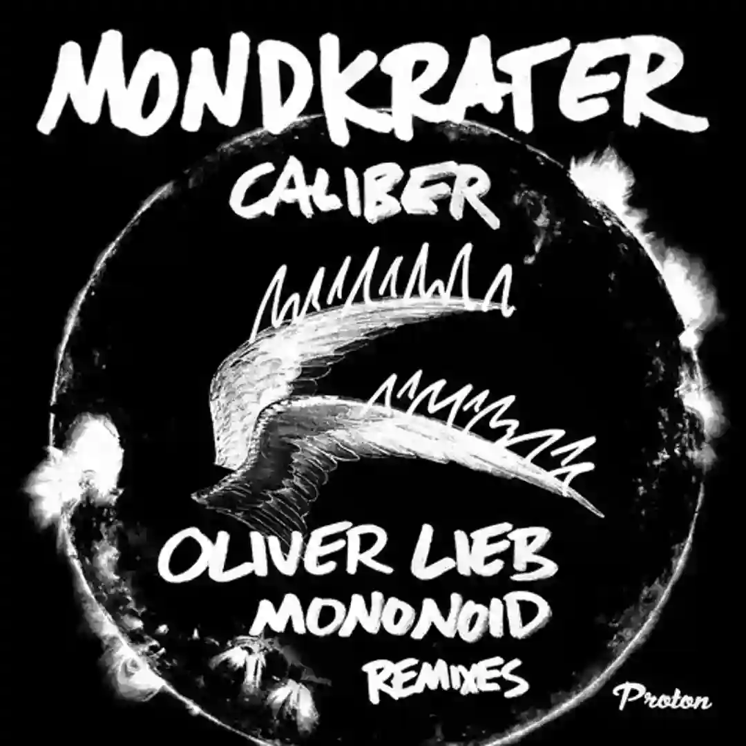 Caliber (Oliver Lieb Remix) cover