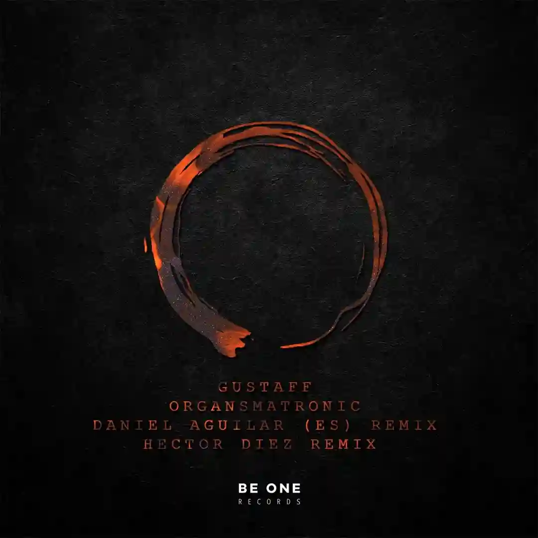 Organsmatronic (Hector Diez Remix) cover