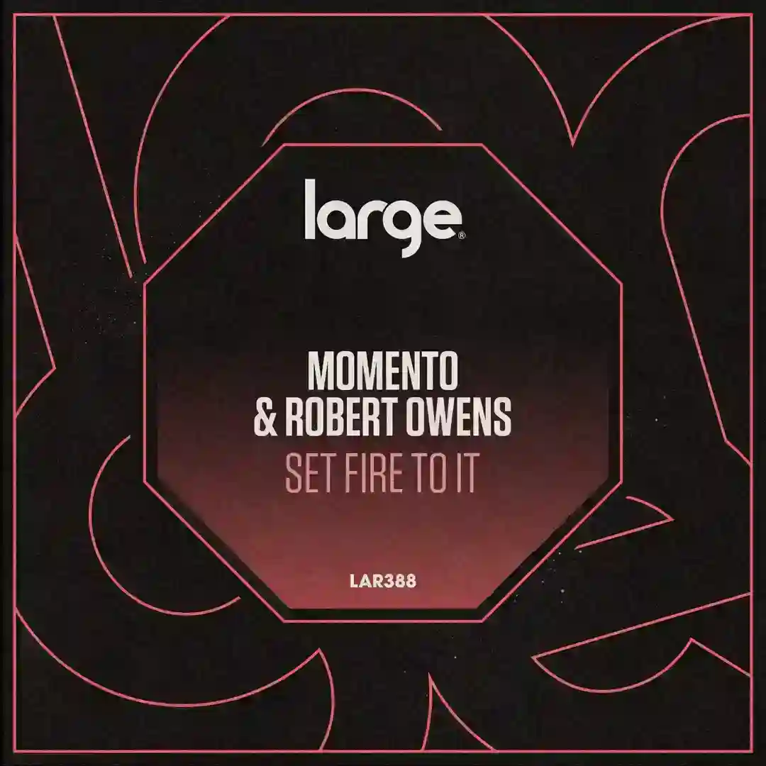 Set Fire feat. Robert Owens (Dub Mix) cover