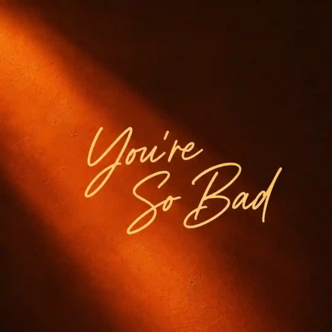 You're So Bad (Extended Mix) cover