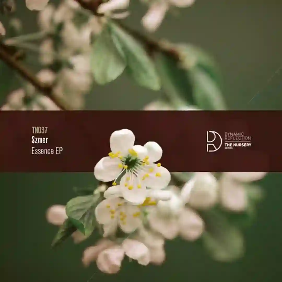 Apollo (Original Mix) cover