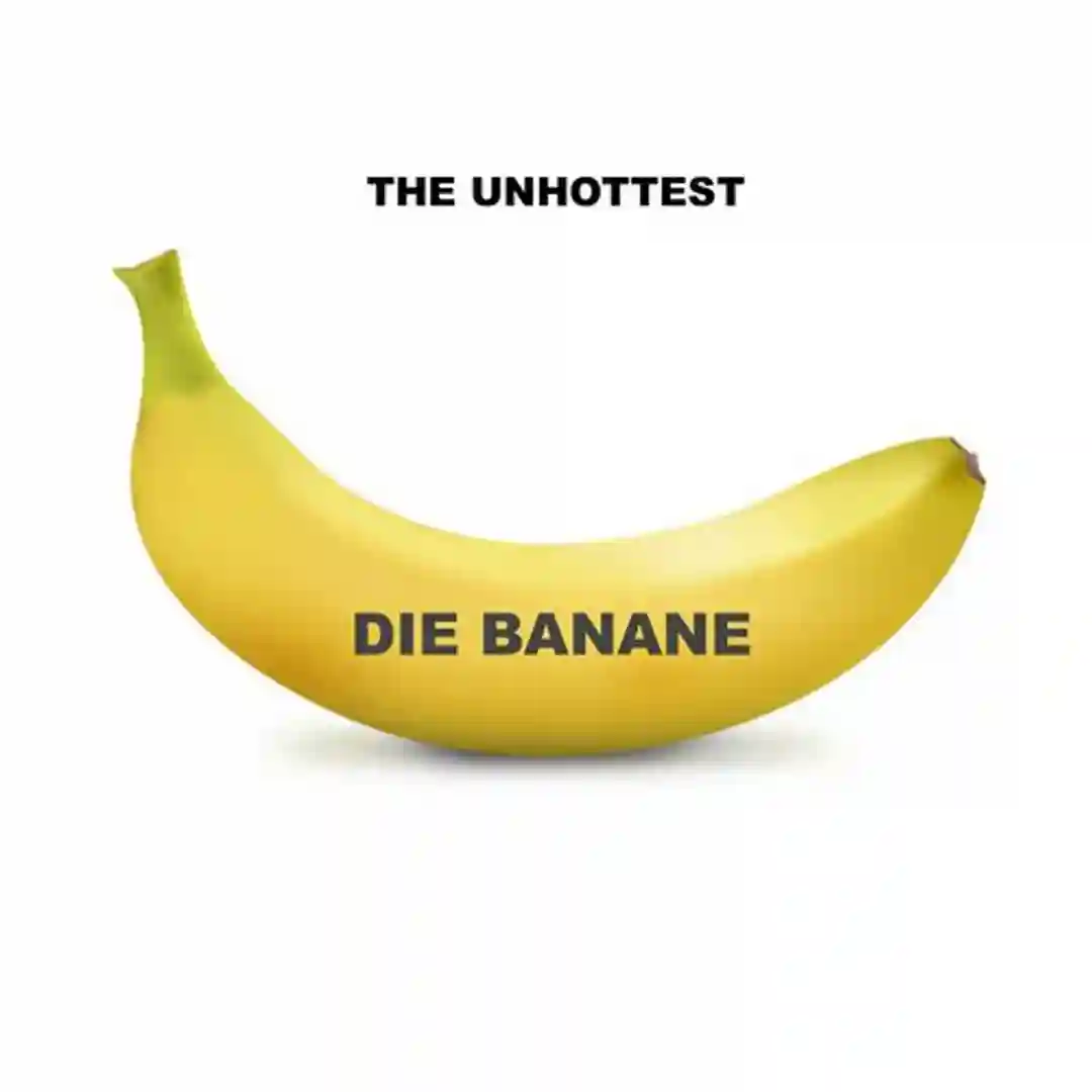 NE cover