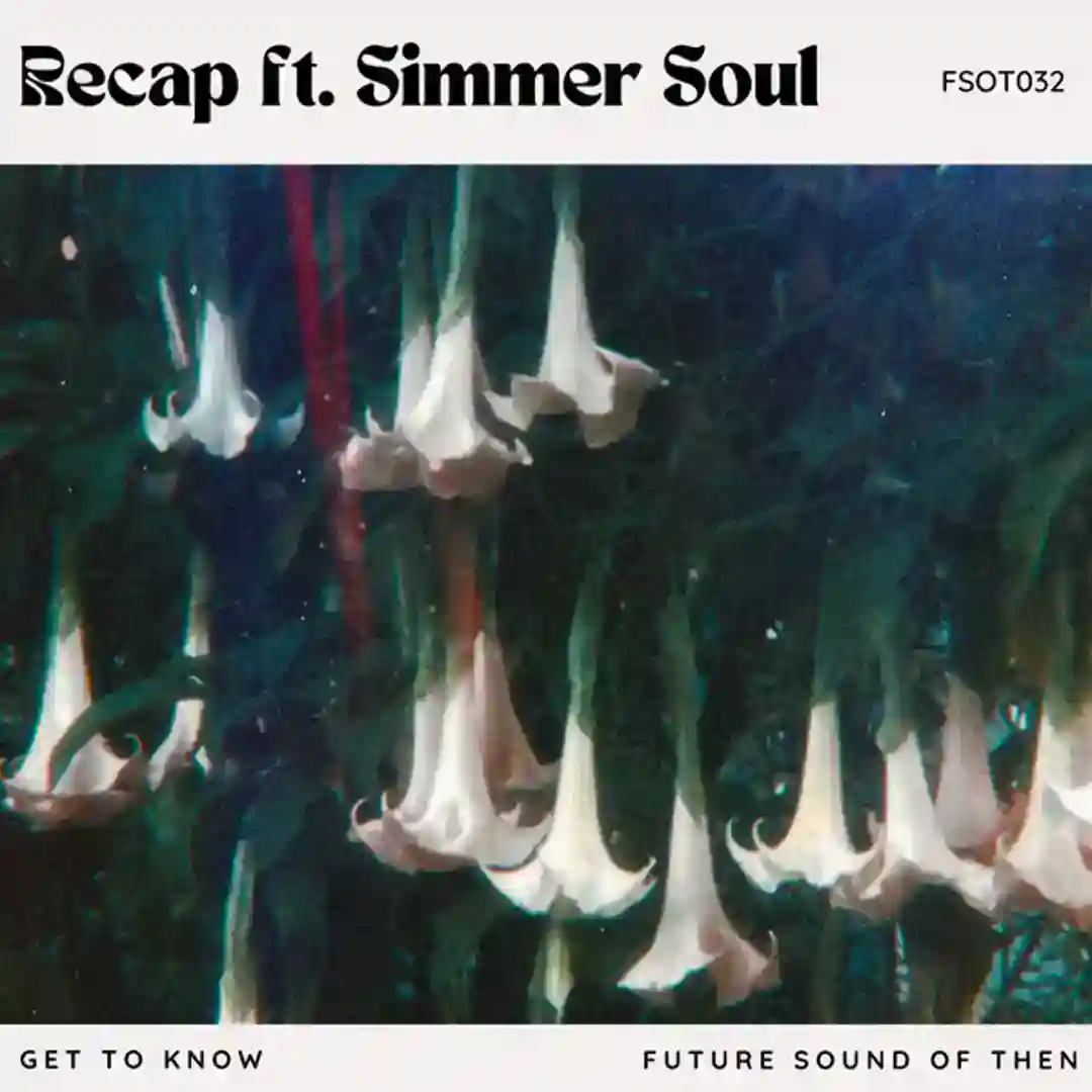 Recap (Extended) cover