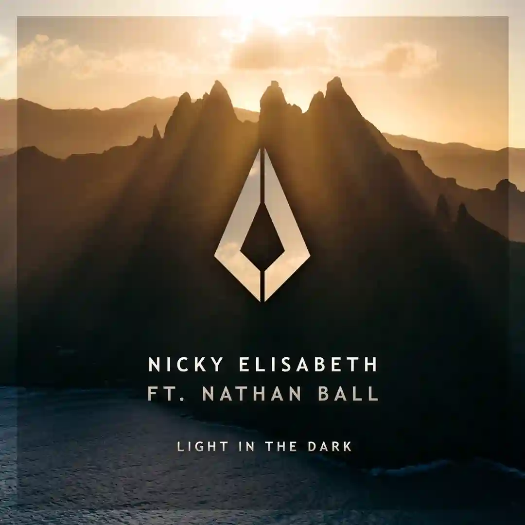 Light in the Dark cover