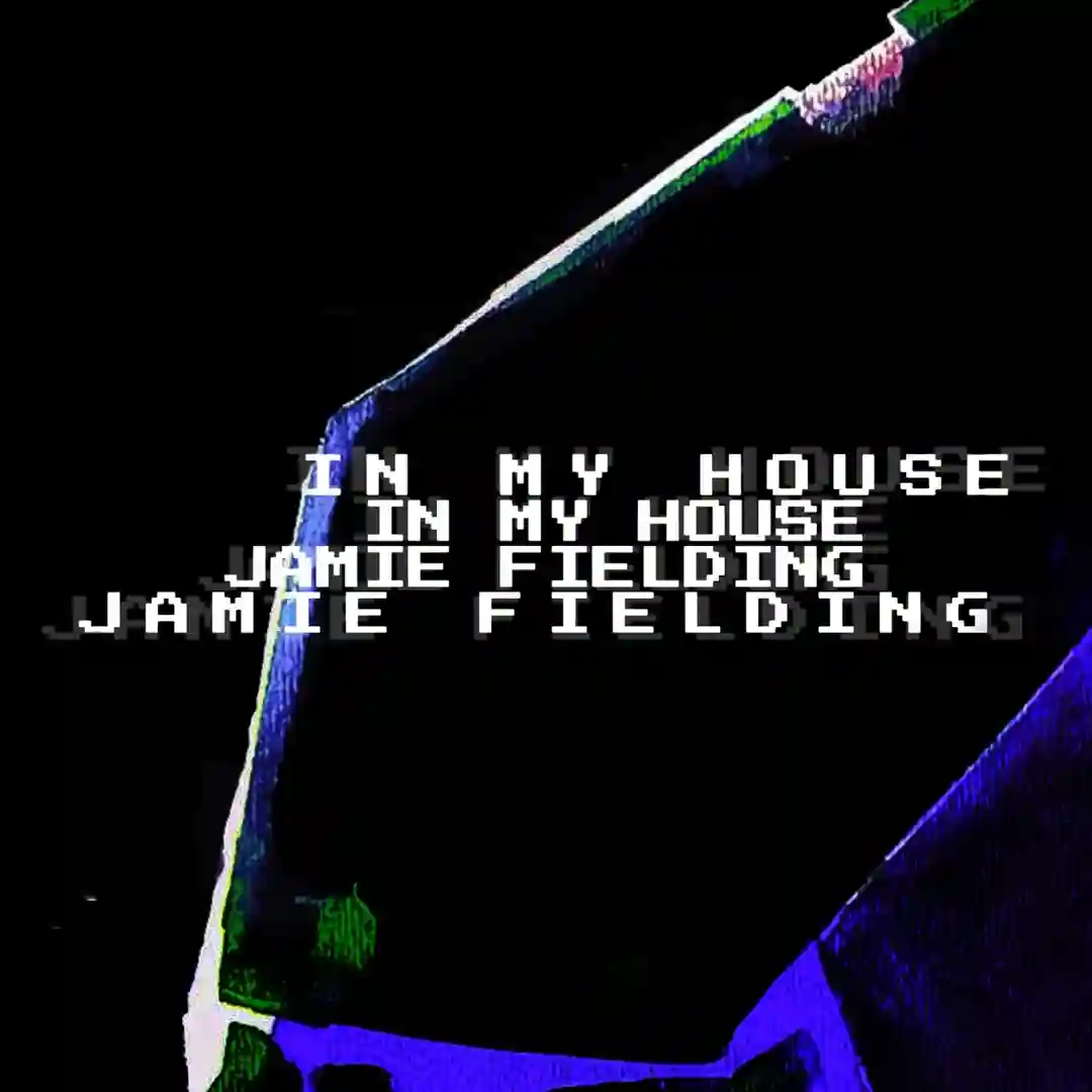 In My House (Original Mix) cover