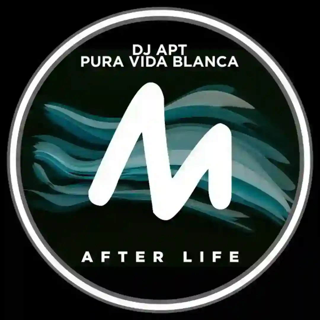Afterlife (Extended Instrumental Mix) cover