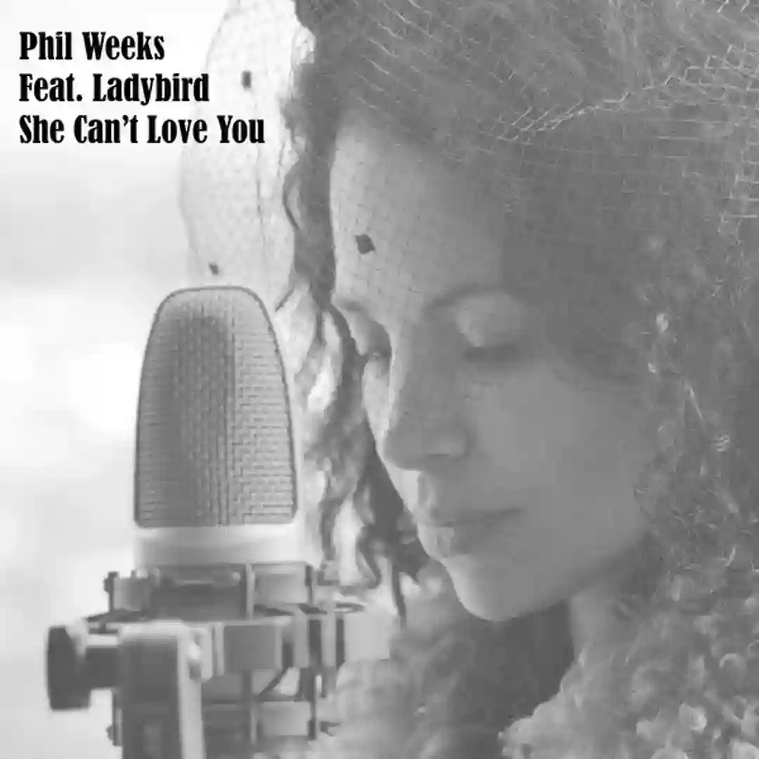She Can't Love You (Radio Edit) cover