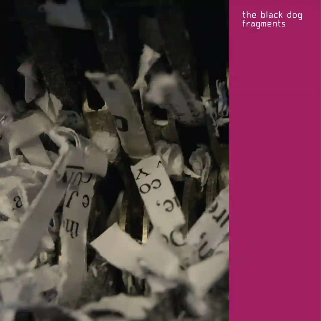[b] What Did They Ask (Remastered) cover