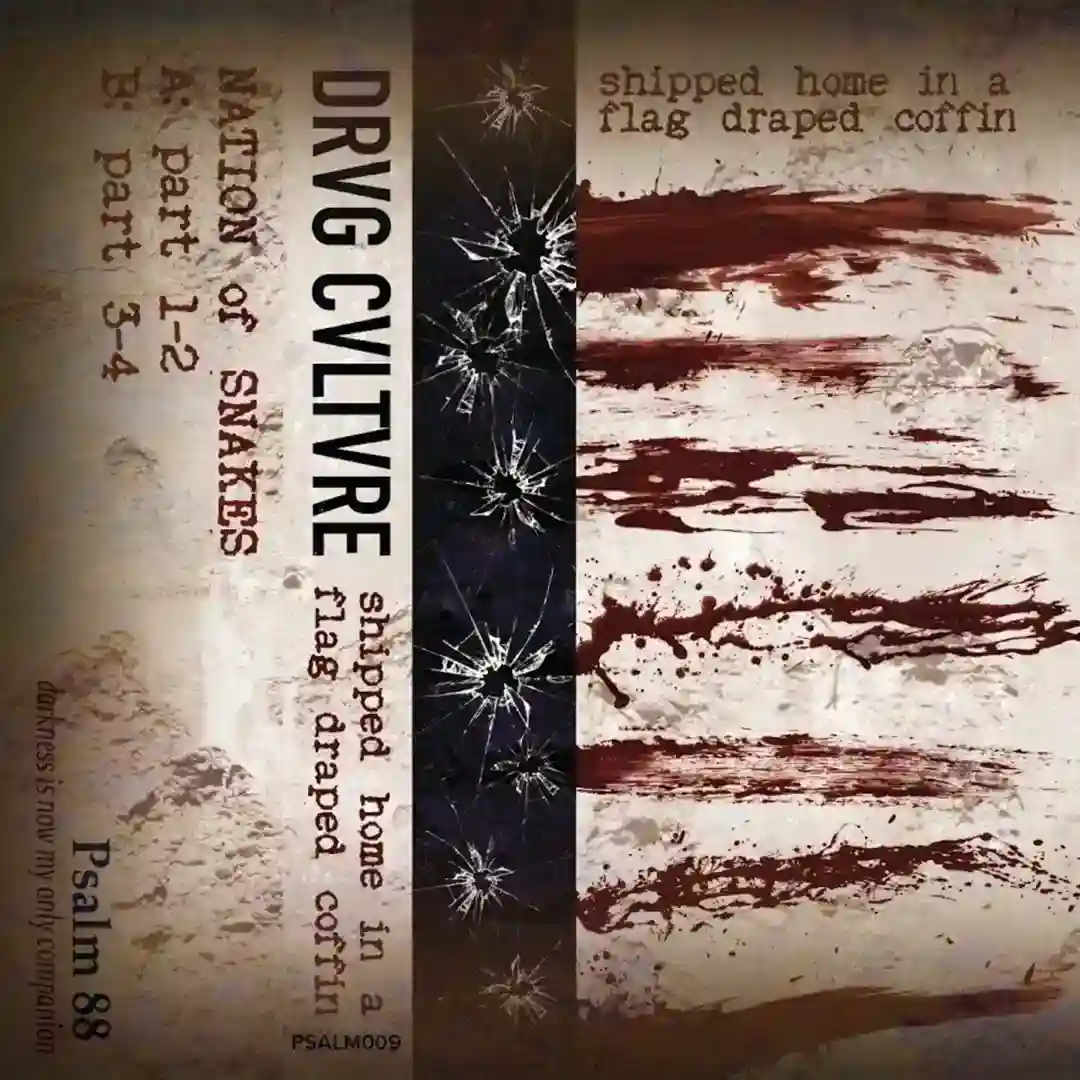 NATION of SNAKES 2 cover