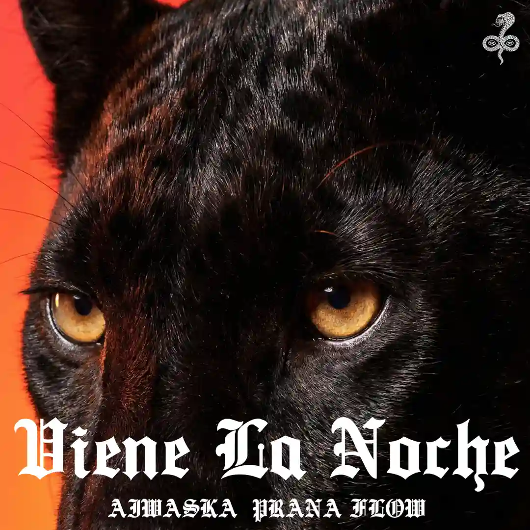 Viene La Noche (YES TO ALL Club Extended Remix) cover