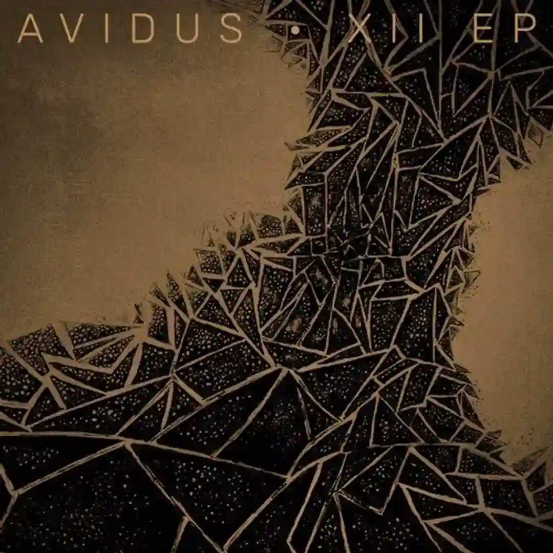 Revenge Of The Whales (Avidus Crosstown Rework) cover