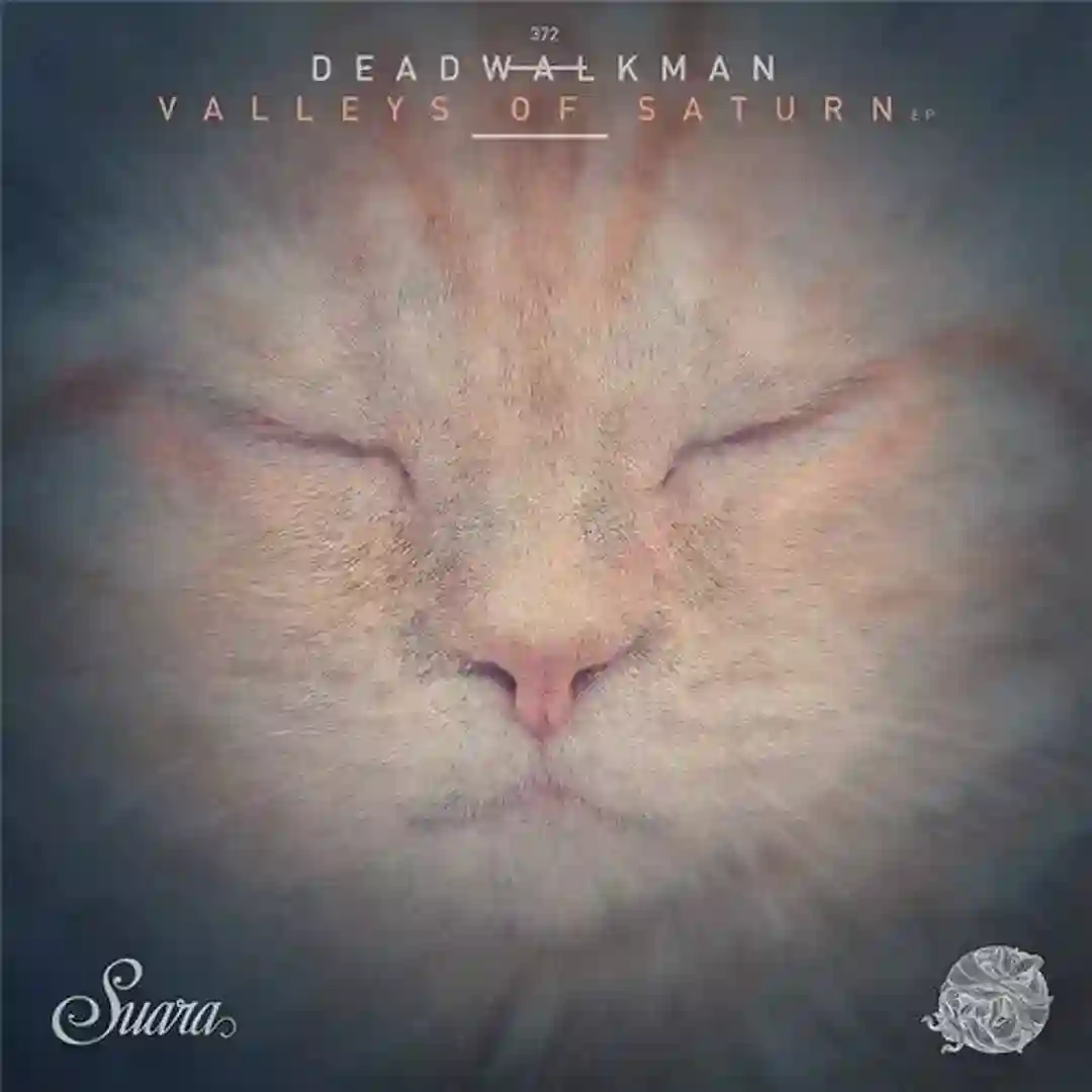 Black Swan (Original Mix) cover