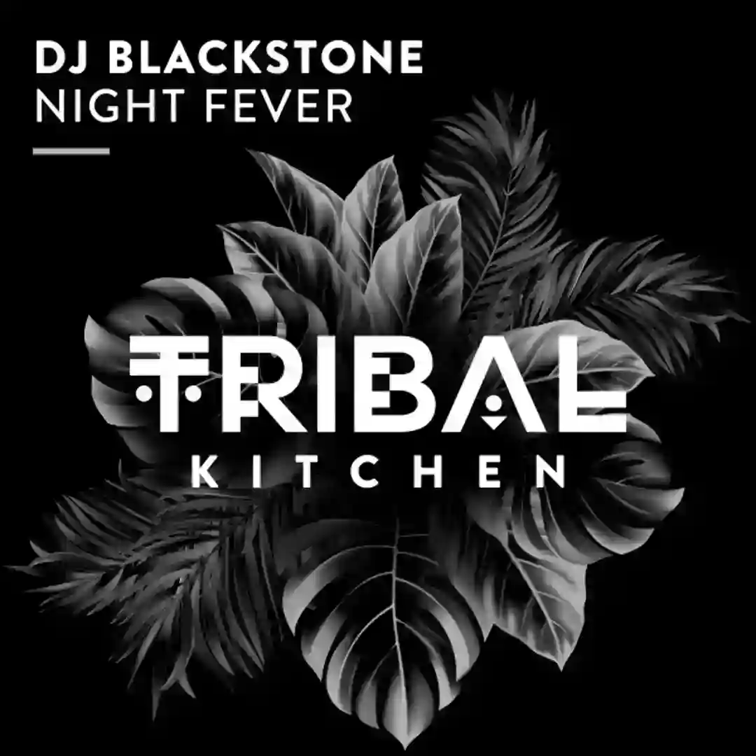 Night Fever (Extended Mix) cover