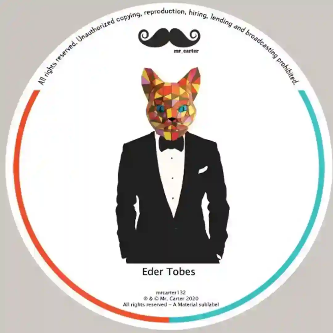 Time Flies (Original Mix) cover