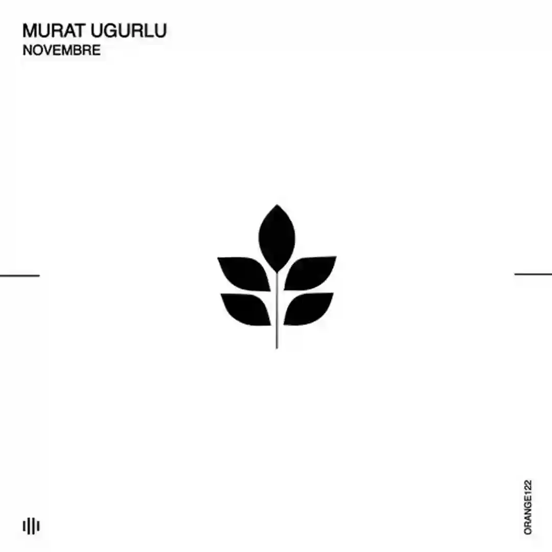 System (Original Mix) cover