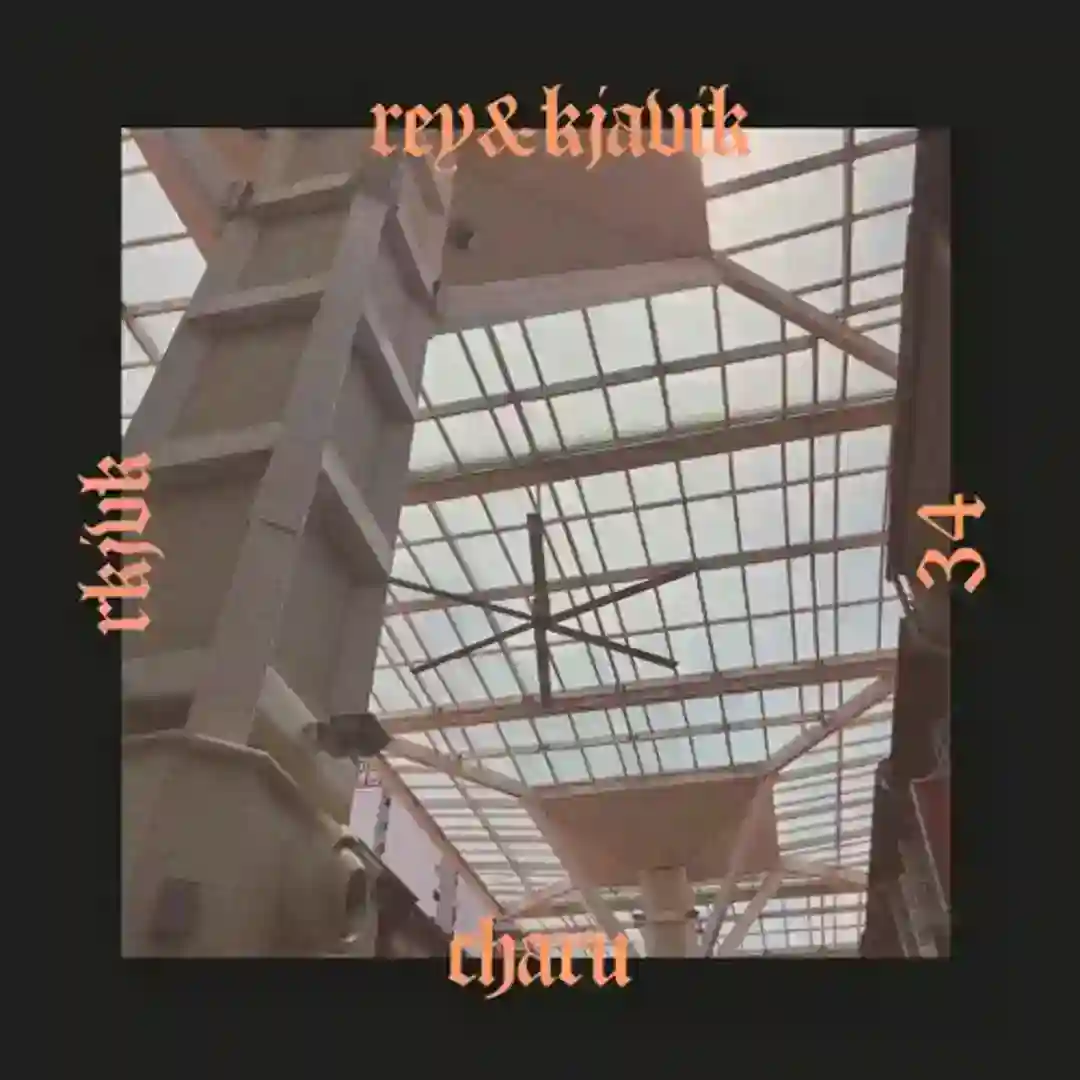 Charu cover