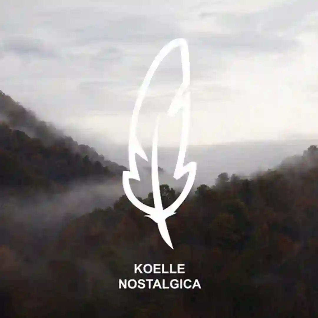 Nostalgica (Moritz Hofbauer Remix) cover