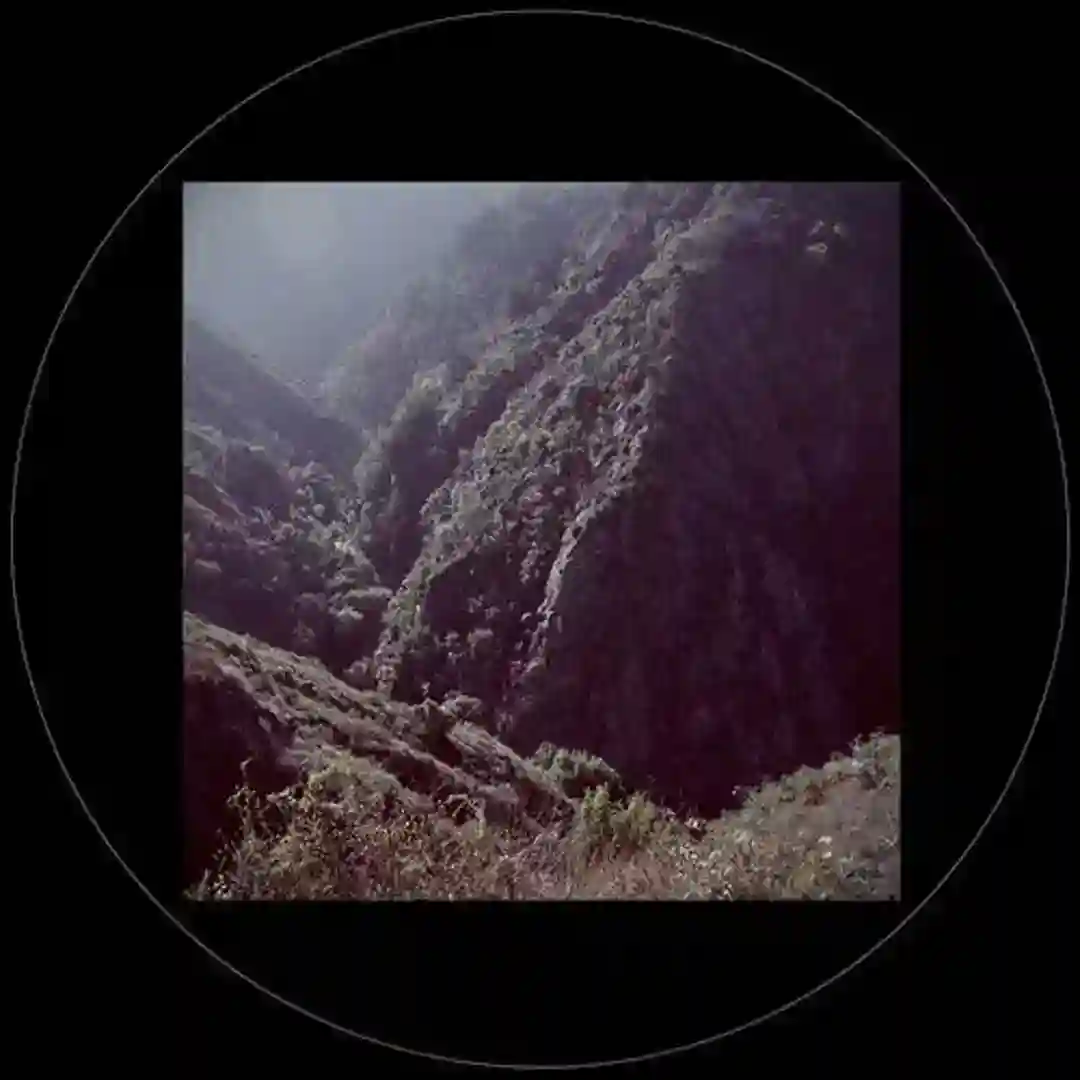 Zotana (Thomas Muller Remixes) cover
