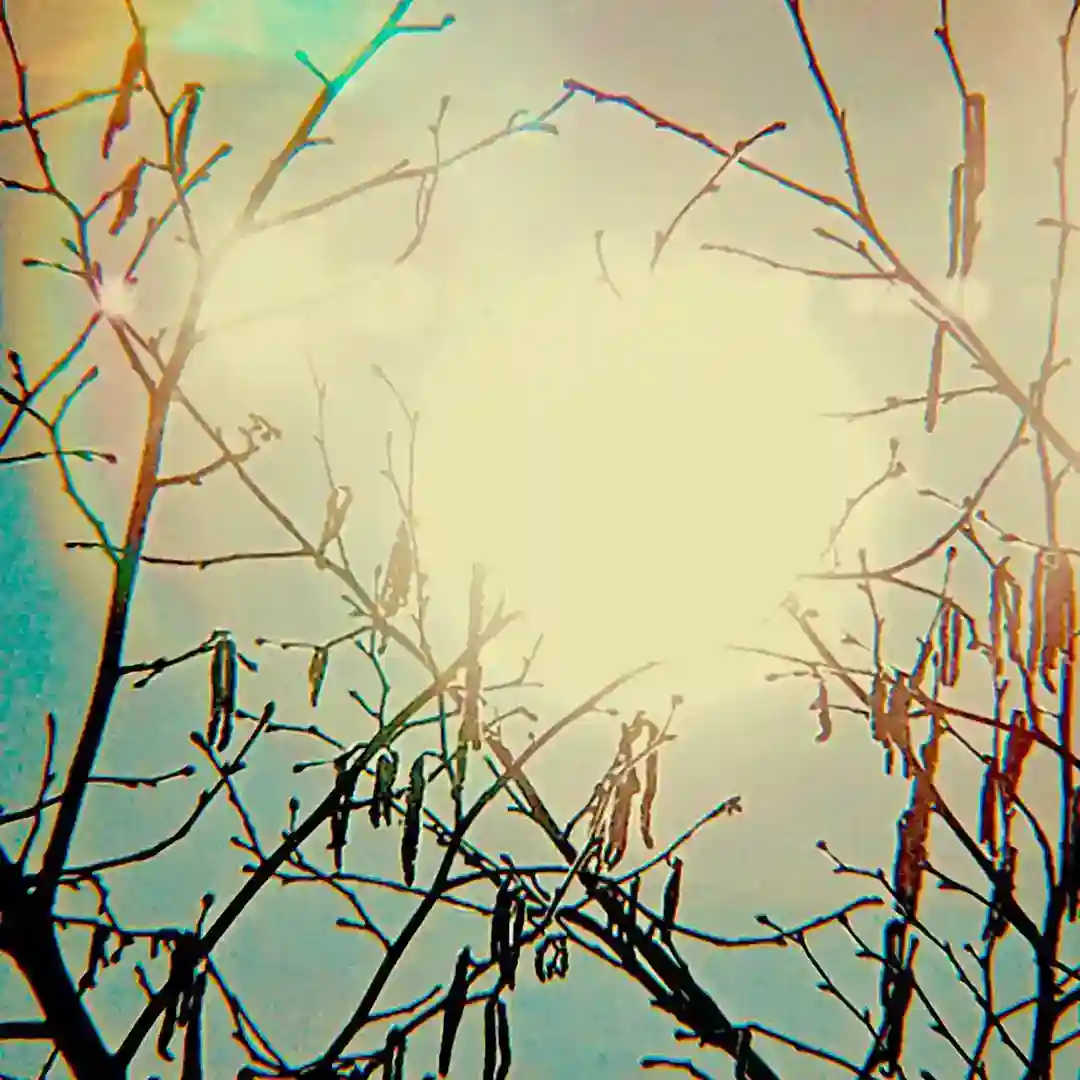 Golden Sun cover
