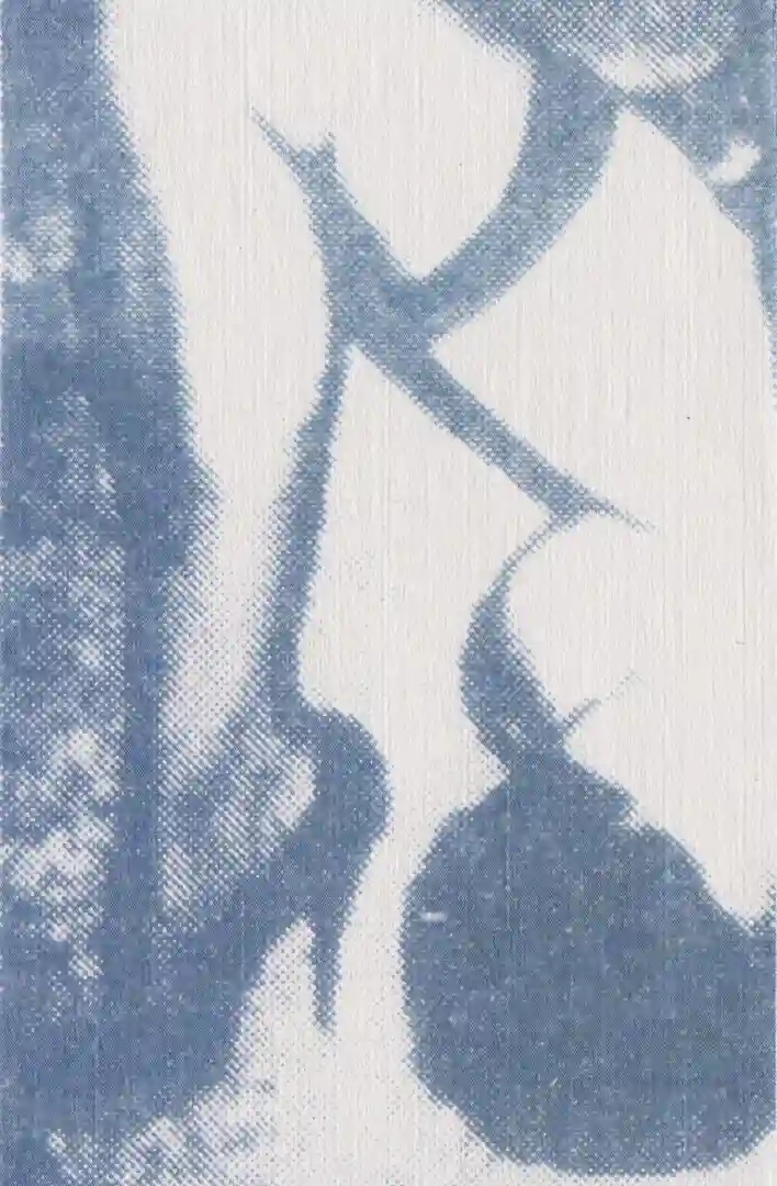 Wet (Original) cover