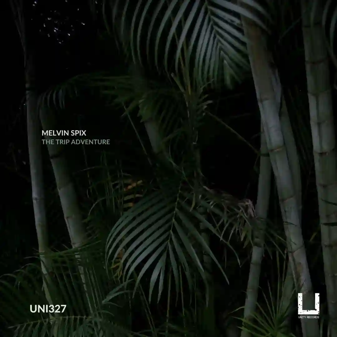 Jack's Groove (Original Mix) cover