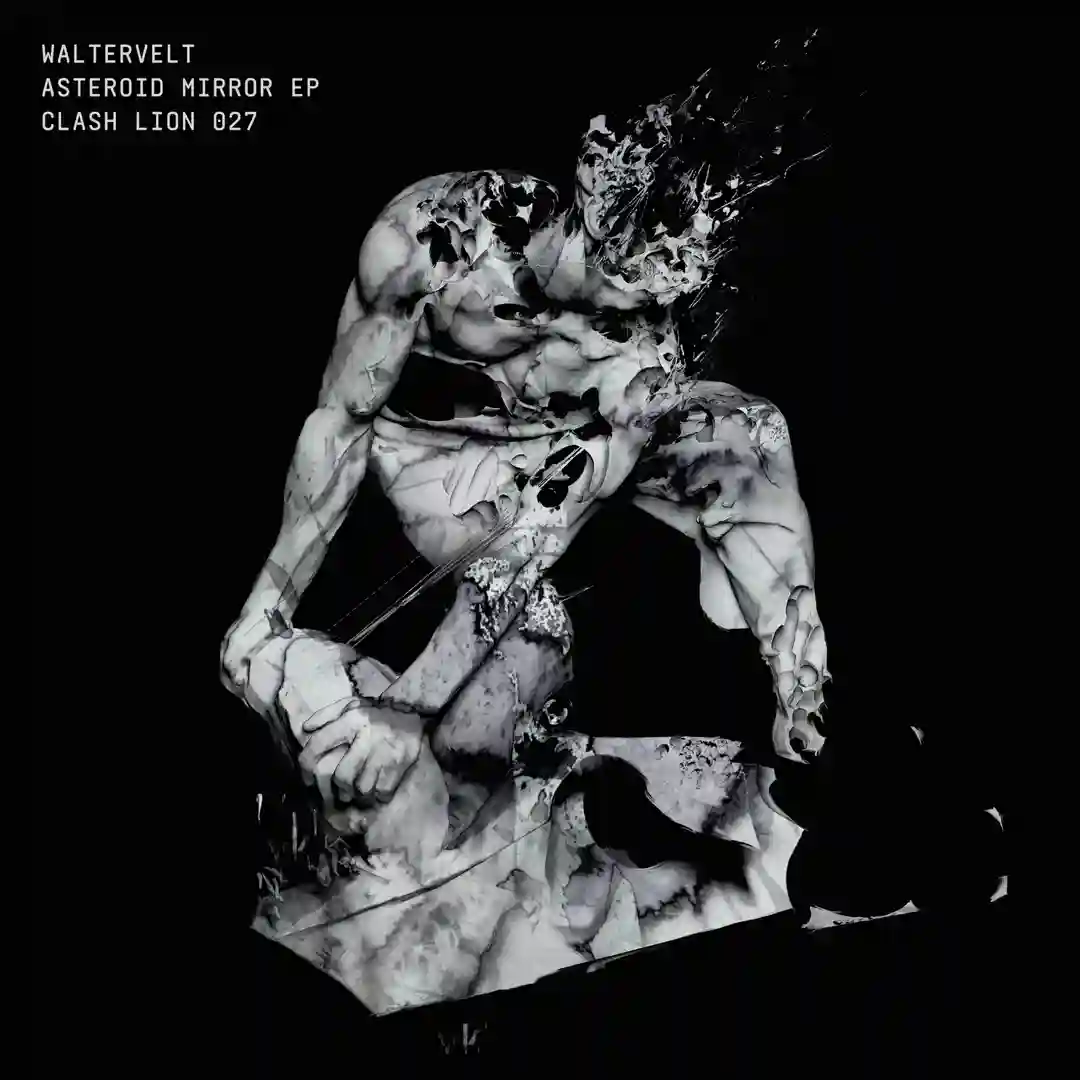 Asteroid Mirror cover