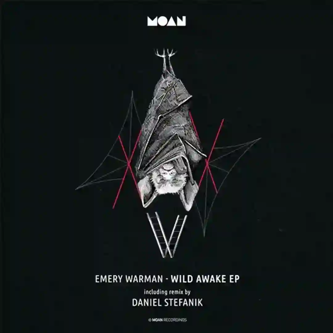 Wild Awake (Daniel Stefanik Remix) cover