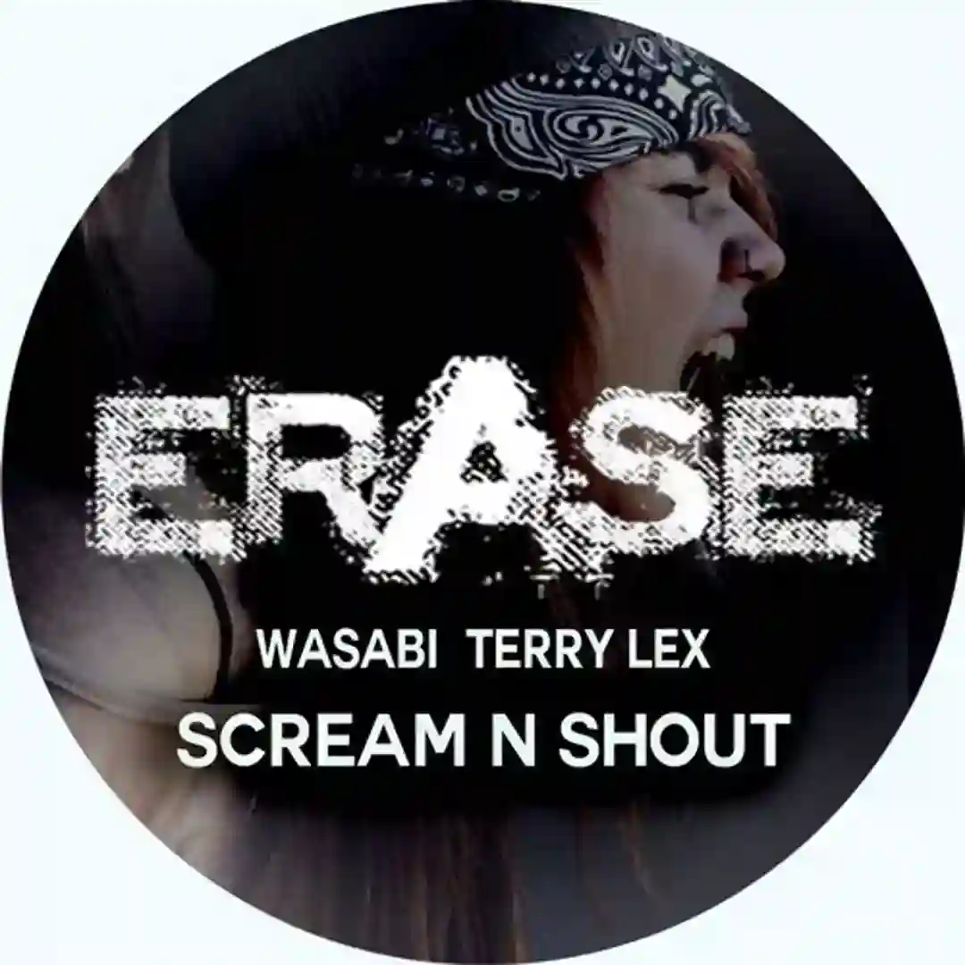Scream N Shout cover