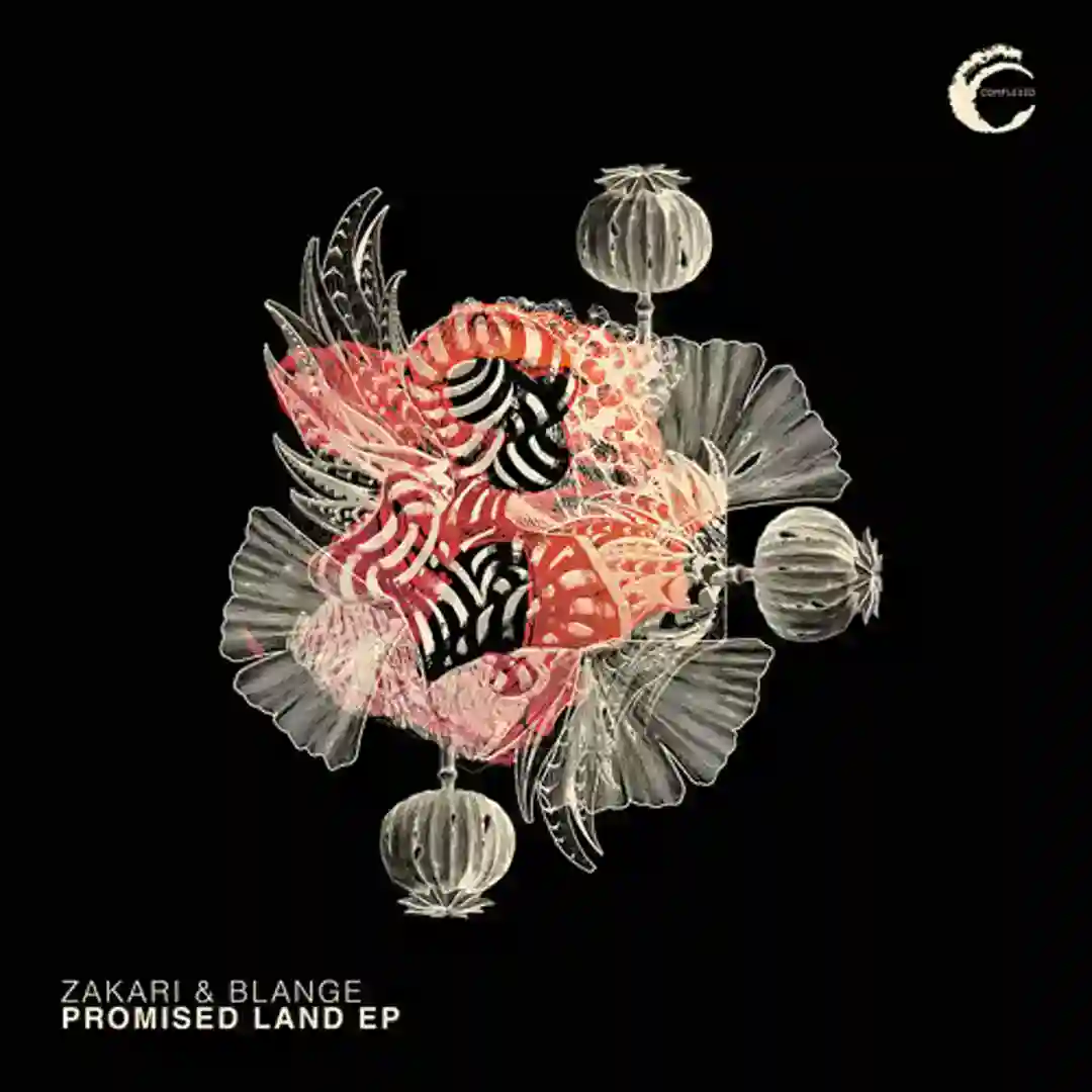 Promised Land cover