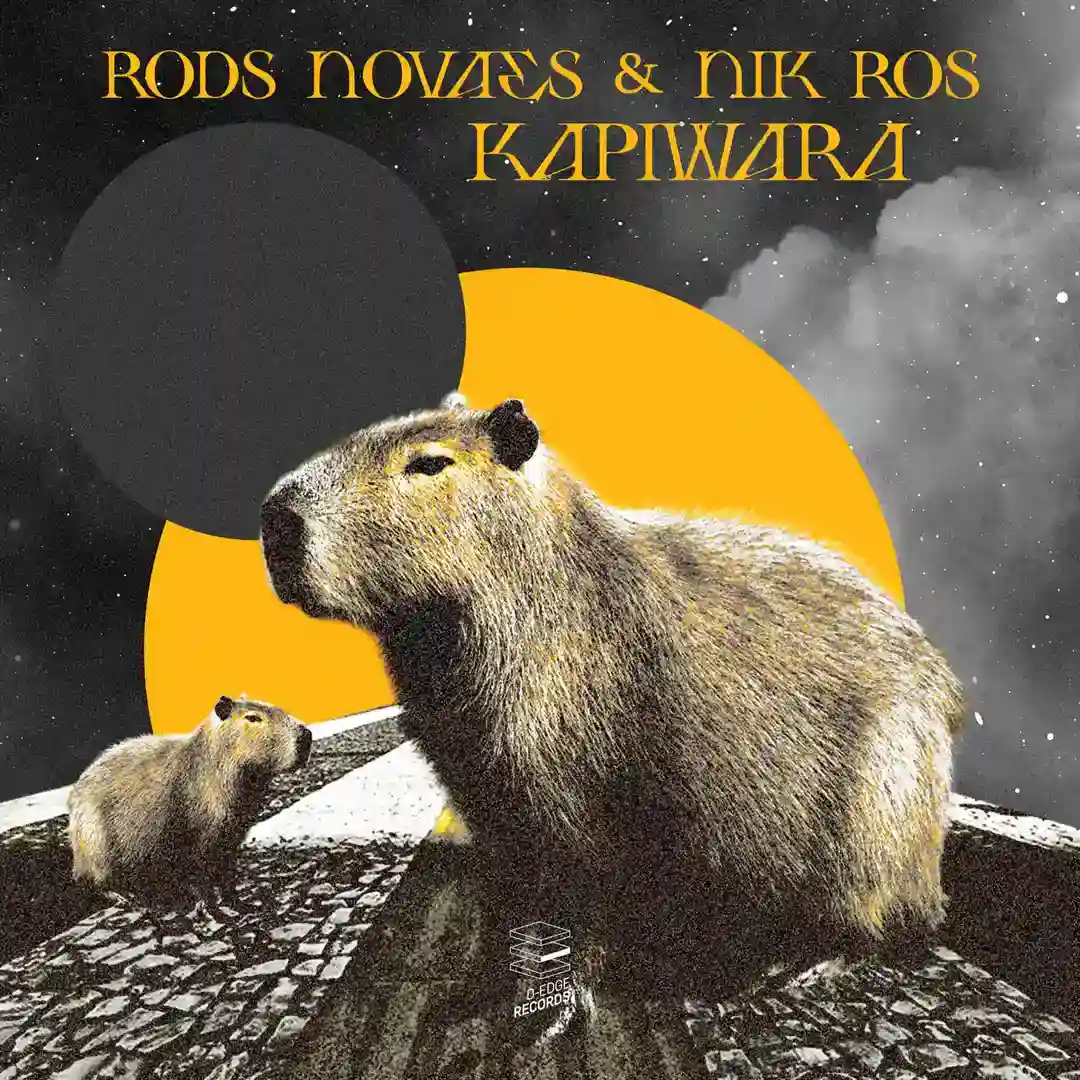 Kapiwara (Original Mix) cover