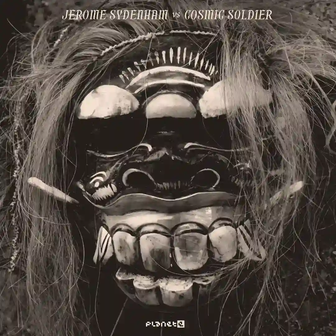 Black Dog (Original Mix) cover